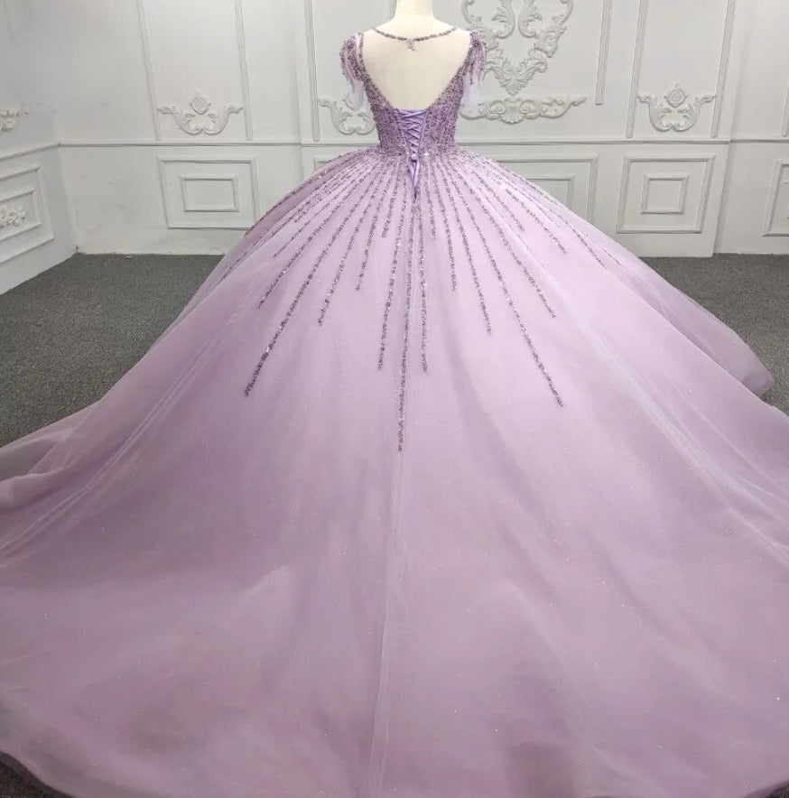 Back view of a purple sequined A-line party ball gown with intricate beadwork and a voluminous train.