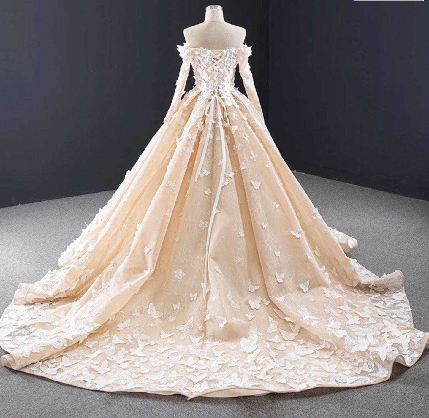 Quinceanera Dress #D Butterfly LaceLace Up Back With Train, Experience the enchanting romance of our Romantic Butterfly Quinceanera Dress