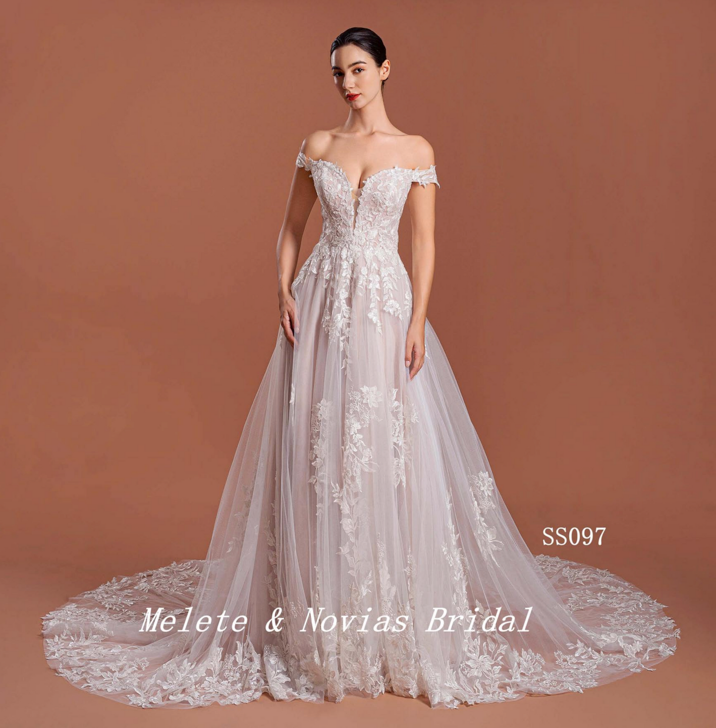 Vestido de novia tradicional de tul con encaje en forma de A