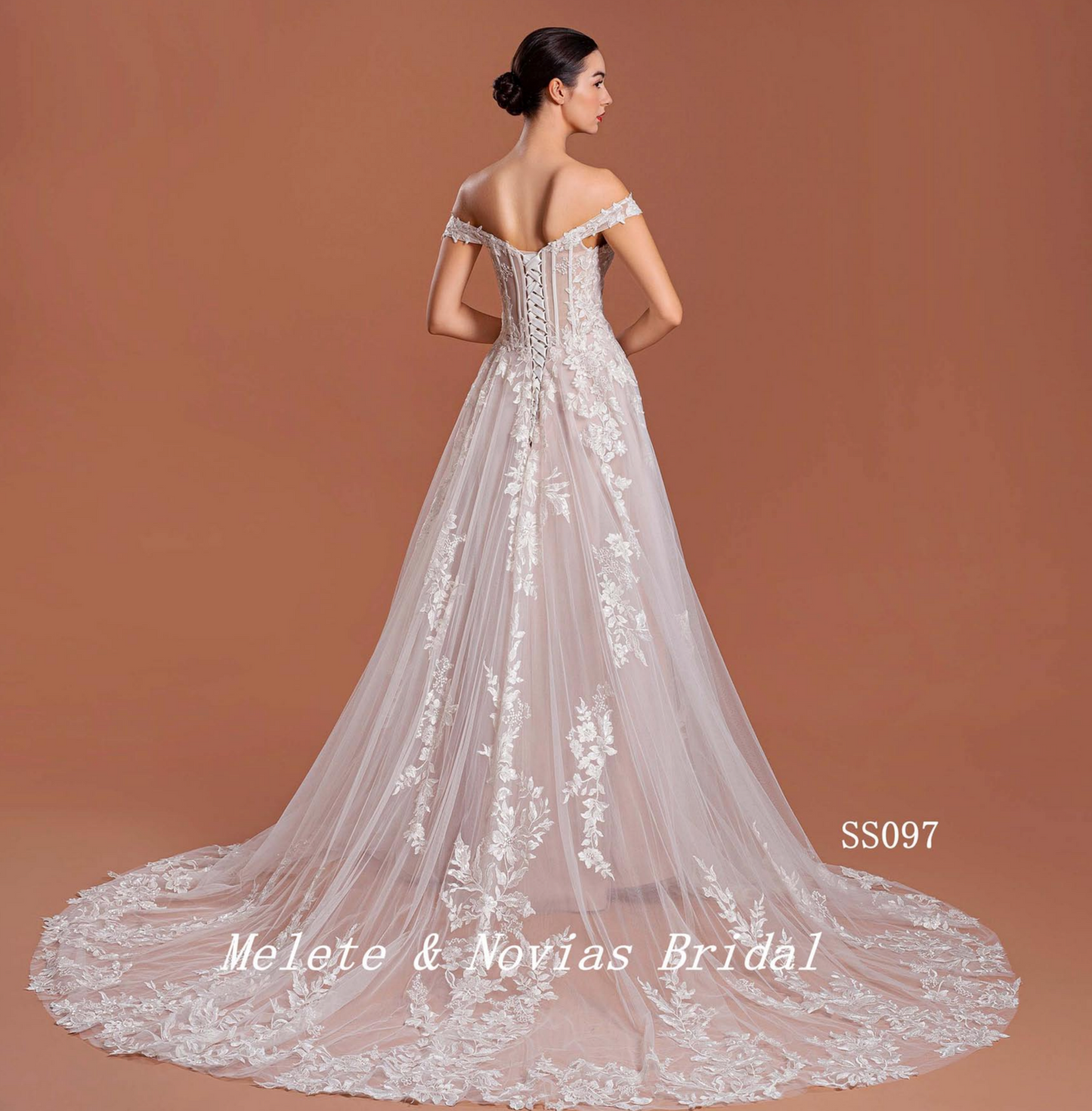 Vestido de novia tradicional de tul con encaje en forma de A