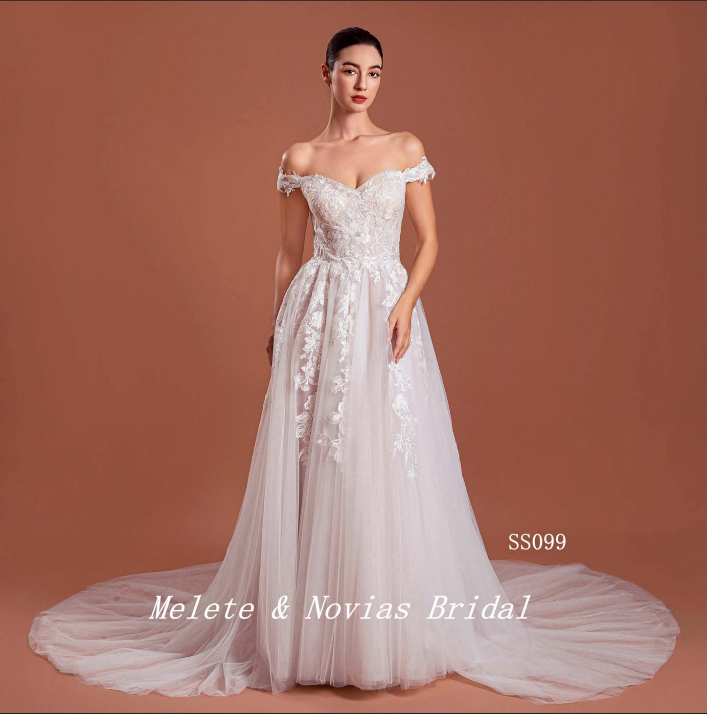 Vestido de novia de corte A con espalda abotonada y encaje de tul