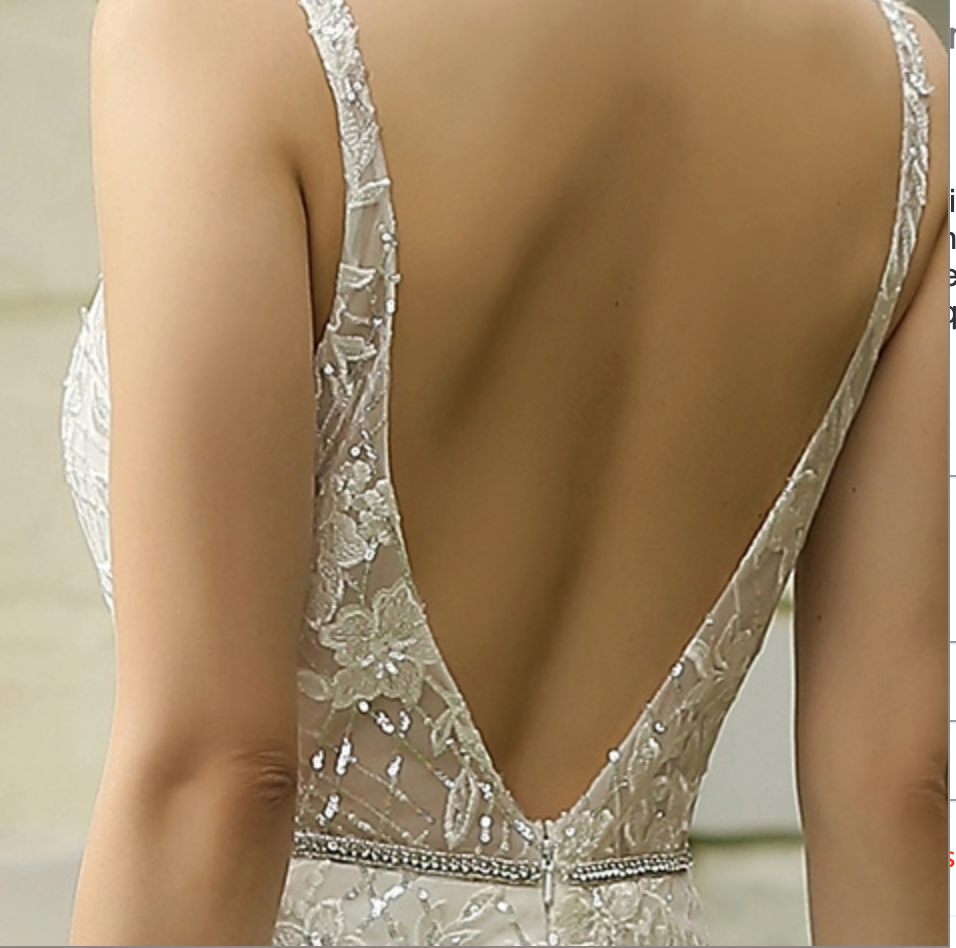 Wedding Dress Glittery Fitted With Deep V Neckline